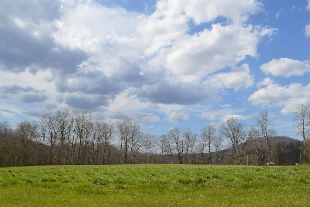 River Runs Through It -Cottage On 70 Acre Winery Mount Airy Exterior foto