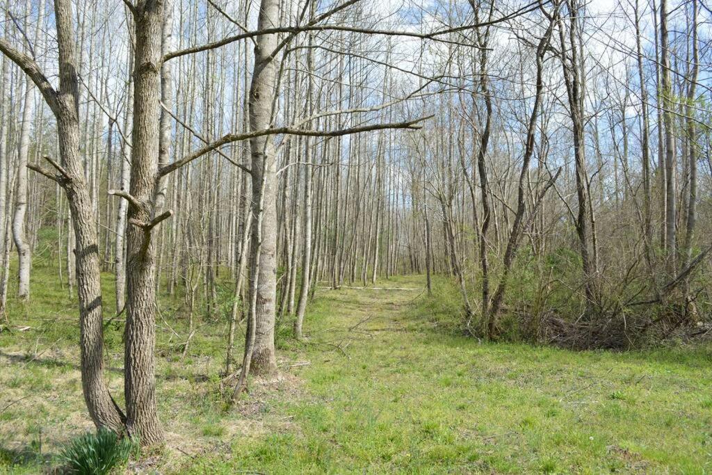 River Runs Through It -Cottage On 70 Acre Winery Mount Airy Exterior foto