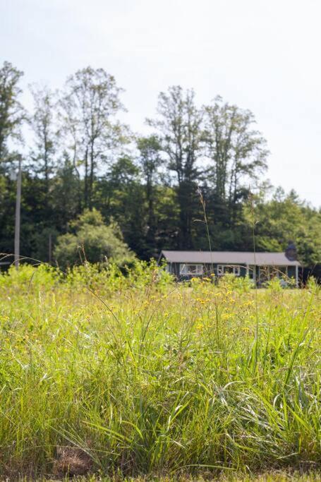 River Runs Through It -Cottage On 70 Acre Winery Mount Airy Exterior foto