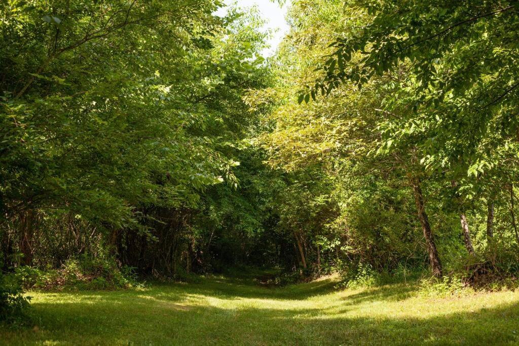 River Runs Through It -Cottage On 70 Acre Winery Mount Airy Exterior foto