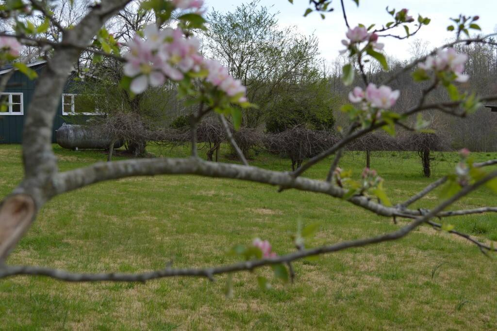 River Runs Through It -Cottage On 70 Acre Winery Mount Airy Exterior foto