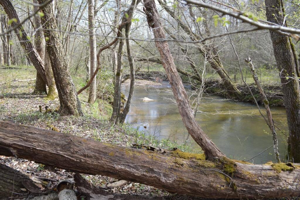 River Runs Through It -Cottage On 70 Acre Winery Mount Airy Exterior foto