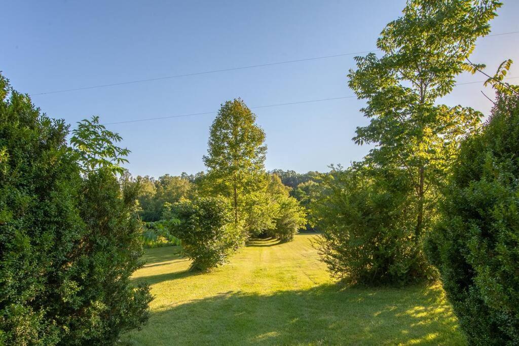 River Runs Through It -Cottage On 70 Acre Winery Mount Airy Exterior foto